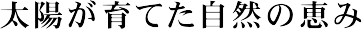 太陽が育てた自然の恵み